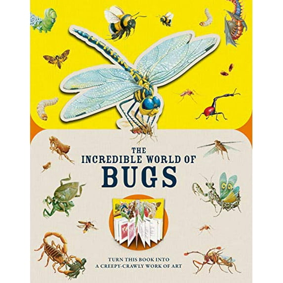 Pre-Owned Paperscapes: The Incredible World of Bugs: Turn This Book Into a Creepy-Crawly Work of Art Paperback