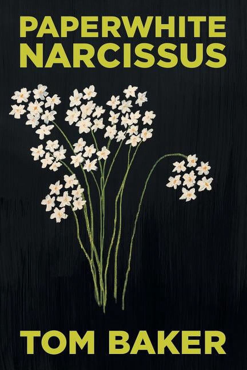 Paperwhite Narcissus, (Paperback)