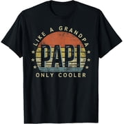 Papi Like a Grandpa Only Cooler Papi Gifts Vintage Style Mens T-Shirt