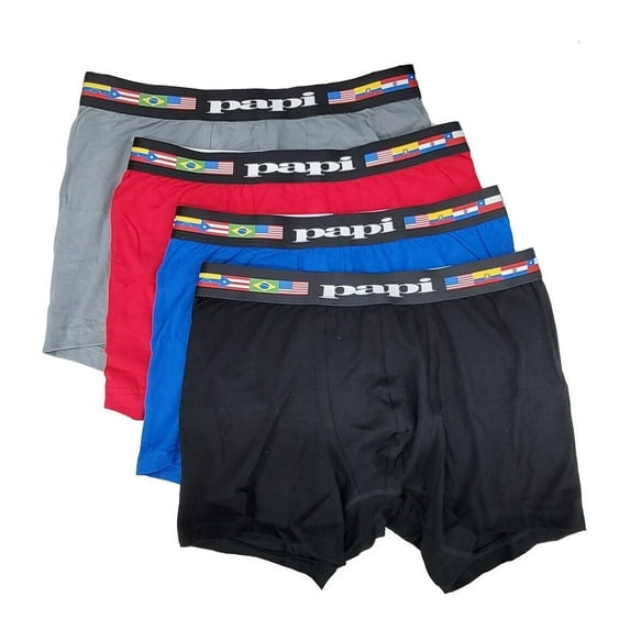 Papi Men's Pride Boxer Briefs 4 Pack - 990003 (ALBP, Medium)