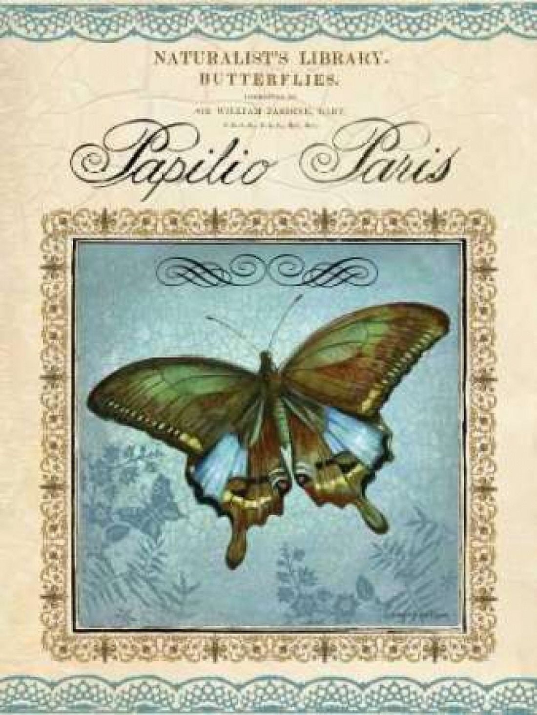 Papilio Paris Canvas Art - Gregory Gorham (18 x 24)