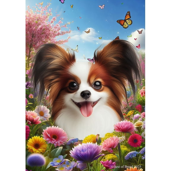 Papillion R/W - Best of Breed Spring Butterfly Outdoor Garden Flag 12" x 17" Mailbox Flag