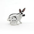 thumbnail image 1 of Papillon Rabbit, 1 of 6