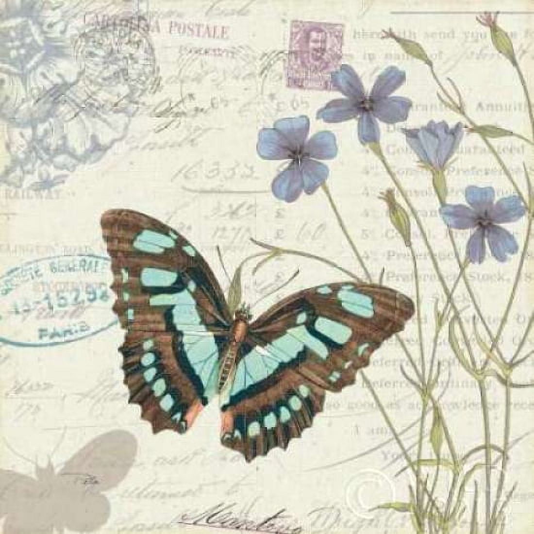 Papillon Tales I Canvas Art - Pela Studio (24 x 24)