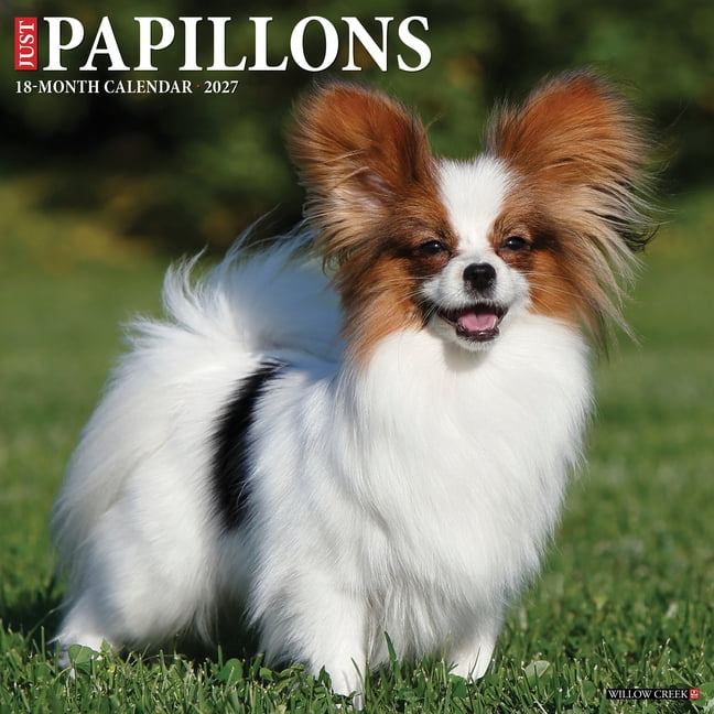 Papillons 2027 12 X 12 Wall Calendar, (Paperback)