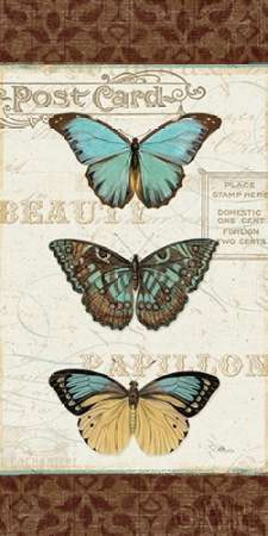 Papillons II Canvas Art - Pela Studio (24 x 48)