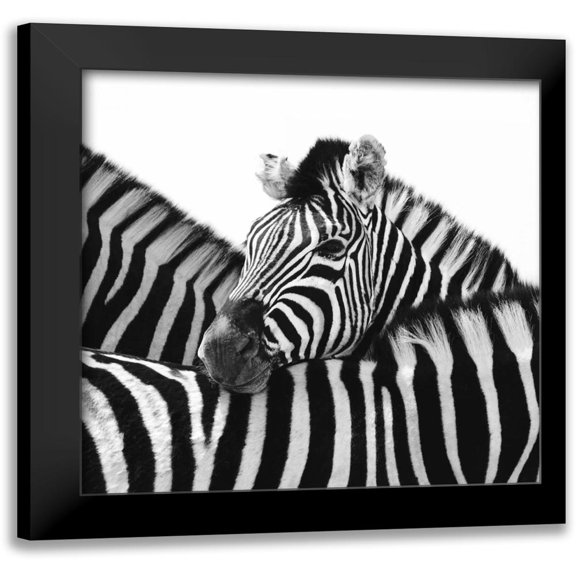 Papiorek, Nina 12x12 Black Modern Framed Museum Art Print Titled - A Safe Place