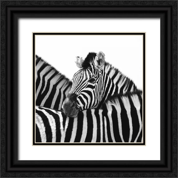 Papiorek, Nina 20x20 Black Ornate Wood Framed with Double Matting Museum Art Print Titled - A Safe Place