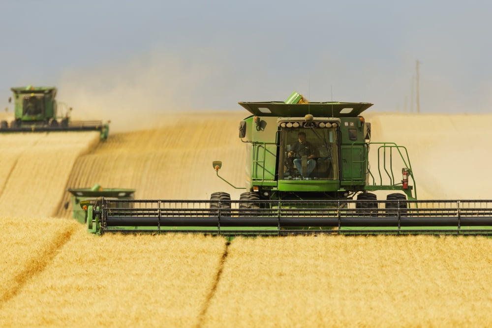 Paplow Harvesting Company custom combines a wheat field near Ray North Dakota United States of America Canvas Art - Richard Hamilton Smith Design Pics (19 x 12)