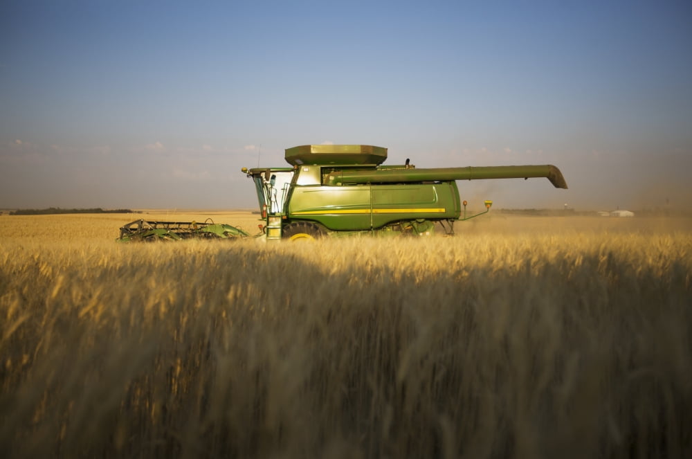 Paplow Harvesting Company custom combines a wheat field near Ray North Dakota United States of America Canvas Art - Richard Hamilton Smith Design Pics (38 x 24)