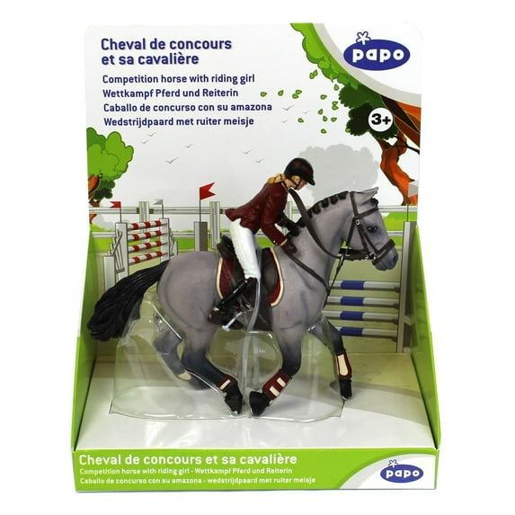 Competition Horse W/Girl