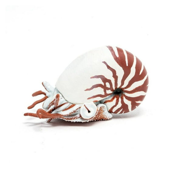 Papo Nautilus Hand Painted Figurine - Heirloom Quality Collectible No. 56061