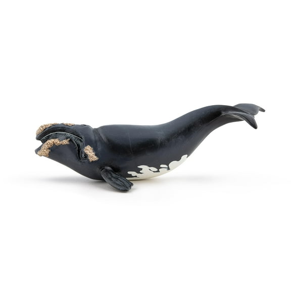 Papo Right Whale Hand Painted Figurine - Heirloom Quality Collectible No. 56057