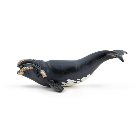 Papo Right Whale Hand Painted Figurine - Heirloom Quality Collectible No. 56057