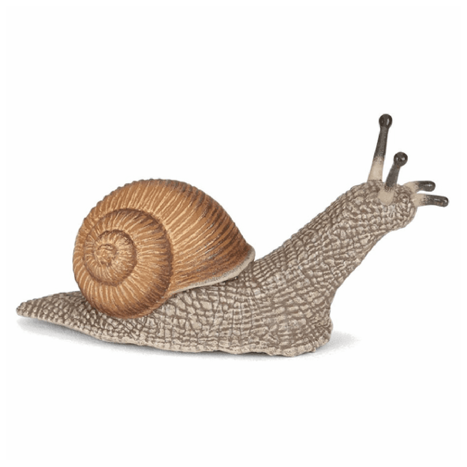 Hand-Painted Brown and Gray PVC Snail Figurine
