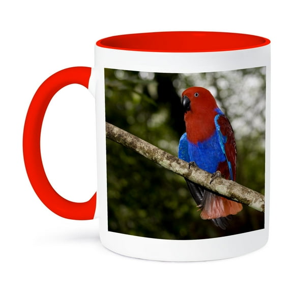 3dRose, Papua New Guinea, Eclectus Parrot, tropical bird - OC12 BFR0002 - Bernard Friel, 11oz Two-Tone Red Mug