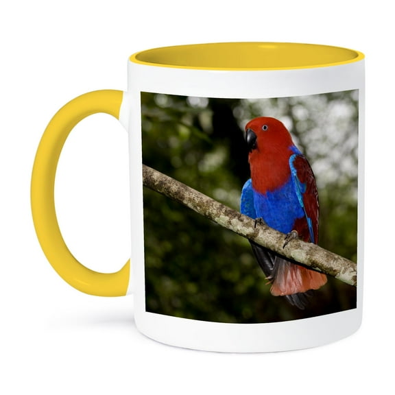 3dRose, Papua New Guinea, Eclectus Parrot, tropical bird - OC12 BFR0002 - Bernard Friel, 11oz Two-Tone Yellow Mug