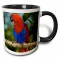 thumbnail image 1 of 3drose, Papua New Guinea, Eclectus Parrot, Tropical Bird - Oc12 Bfr0032 - Bernard Friel, 15oz Two-tone Black Mug, 1 of 6