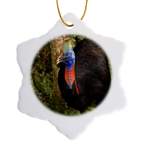 3drose, Papua New Guinea, Lae. Southern Cassowary Bird - Oc12 Bfr0008 - Bernard Friel, 3 inch Snowflake Porcelain Ornament