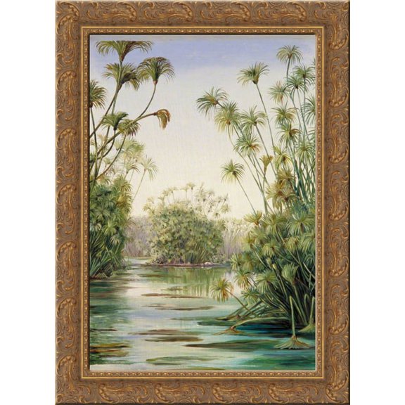 Papyrus or Paper Reed Growing in the Ciane, Sicily 20x24 Gold Ornate Wood Framed Canvas Art by North, Marianne