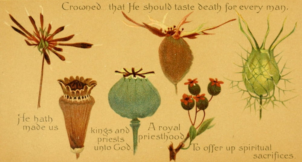Parables of the Cross 1890 Crowned that he should Canvas Art - Isabella Lilias Trotter (18 x 24)