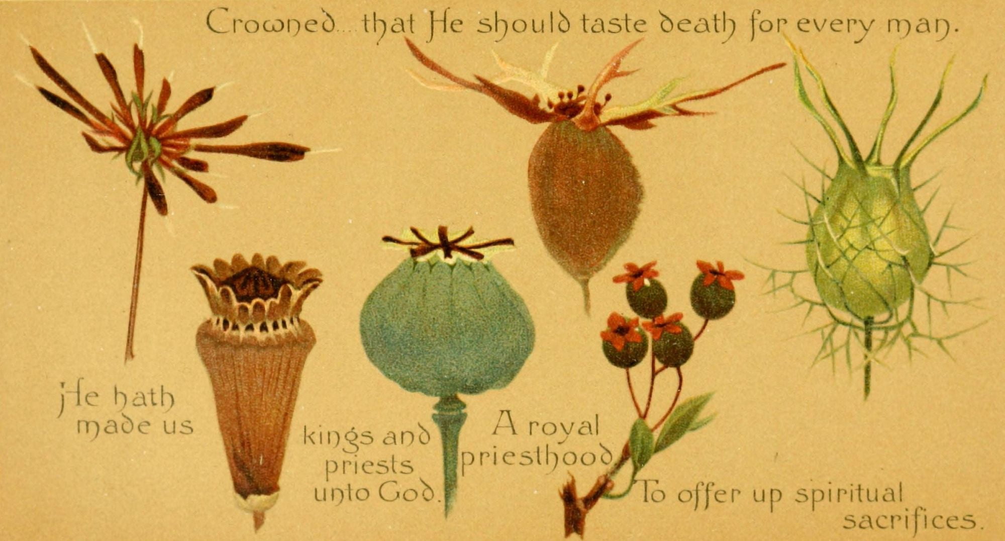 Parables of the Cross 1890 Crowned that he should Canvas Art - Isabella Lilias Trotter (24 x 36)