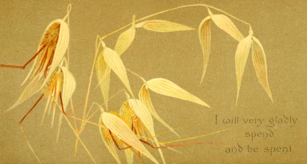 Parables of the Cross 1890 I will very gladly Canvas Art - Isabella Lilias Trotter (24 x 36)