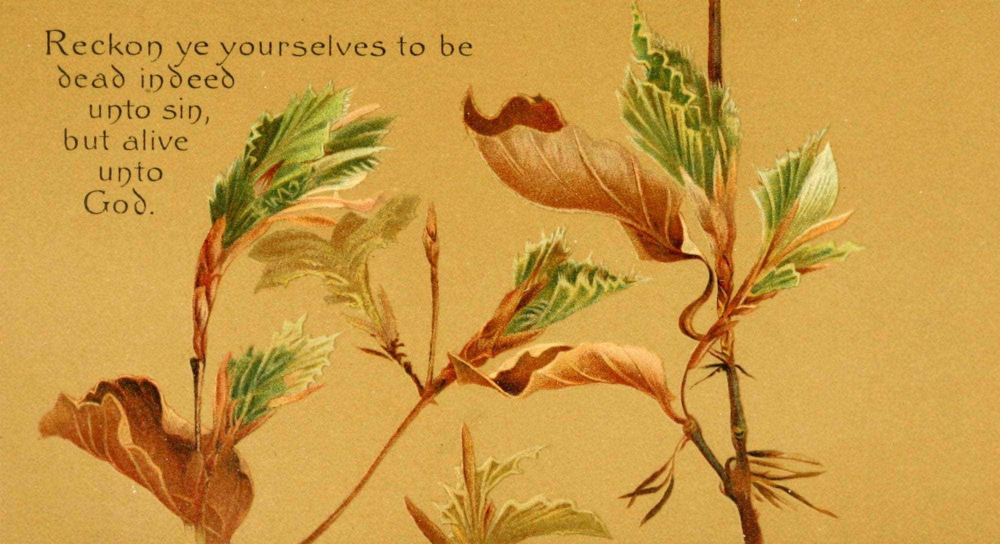 Parables of the Cross 1890 Reckon ye yourselves Canvas Art - Isabella Lilias Trotter (18 x 24)