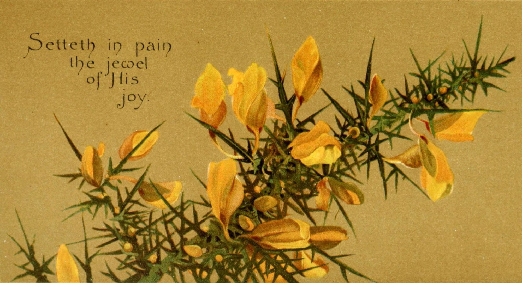 Parables of the Cross 1890 Setteth in pain Canvas Art - Isabella Lilias Trotter (18 x 24)