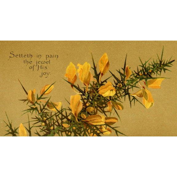 Parables of the Cross 1890 Setteth in pain Poster Print by Isabella Lilias Trotter
