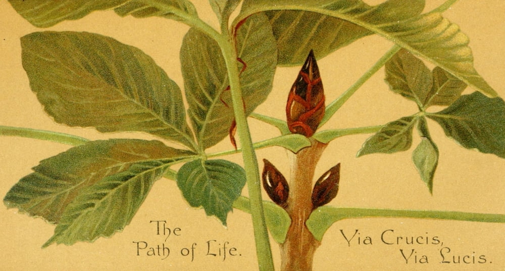 Parables of the Cross 1890 The Path of Life Canvas Art - Isabella Lilias Trotter (18 x 24)