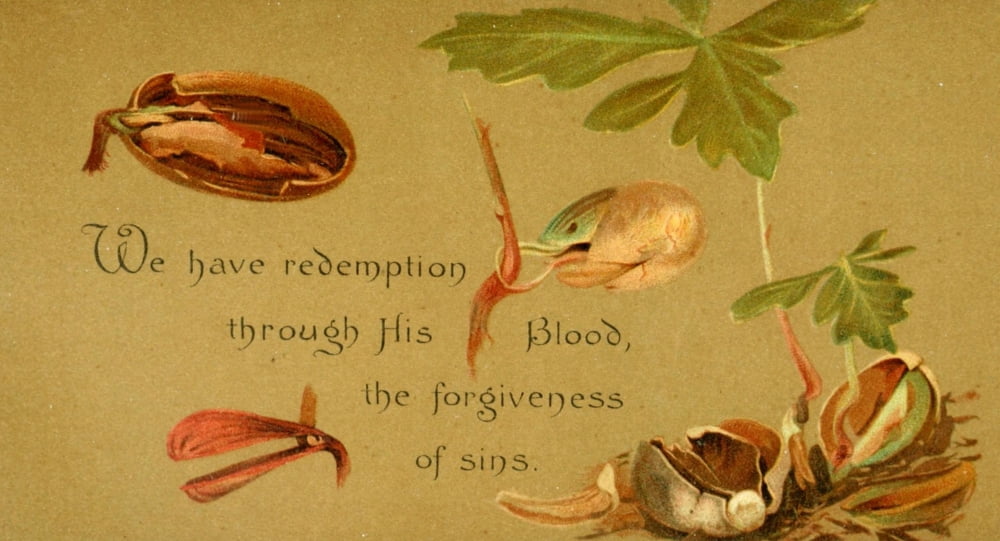 Parables of the Cross 1890 We have redemption Canvas Art - Isabella Lilias Trotter (18 x 24)