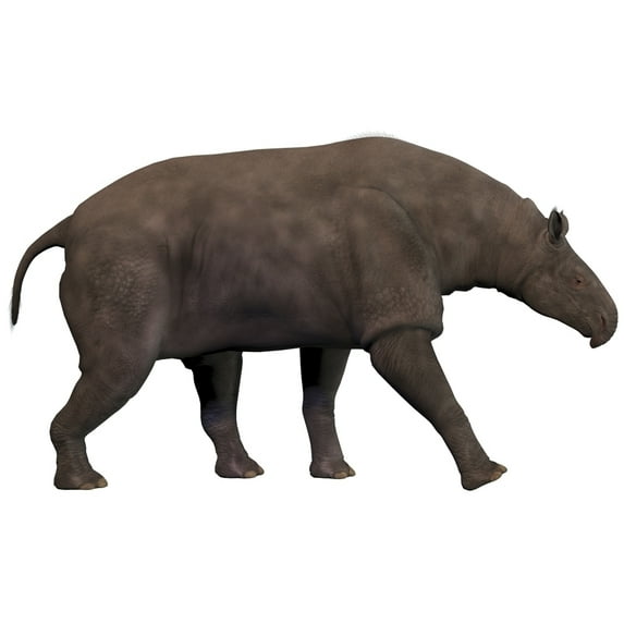 Paraceratherium an extinct rhinoceros-like mammal Poster Print