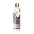 thumbnail image 1 of Parachute - Advansed Damage Repair Shampoo with Rosemary | Repairs Dry & Damaged Hair| Moisturizes Hair| 0% Harmful Chemicals | 340ml, 1 of 1