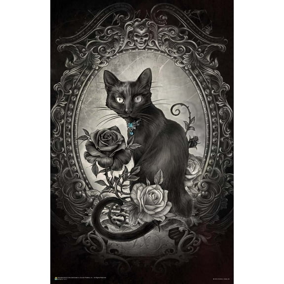 Paraclesus Alchemy Mini Poster - 11 x 17 in.