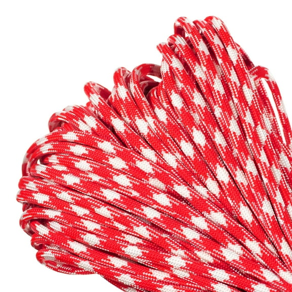 Paracord Planet Brand 550 lb Type III Commercial Grade Parachute Cord - Strawberry Fields 10 Feet - USA Made