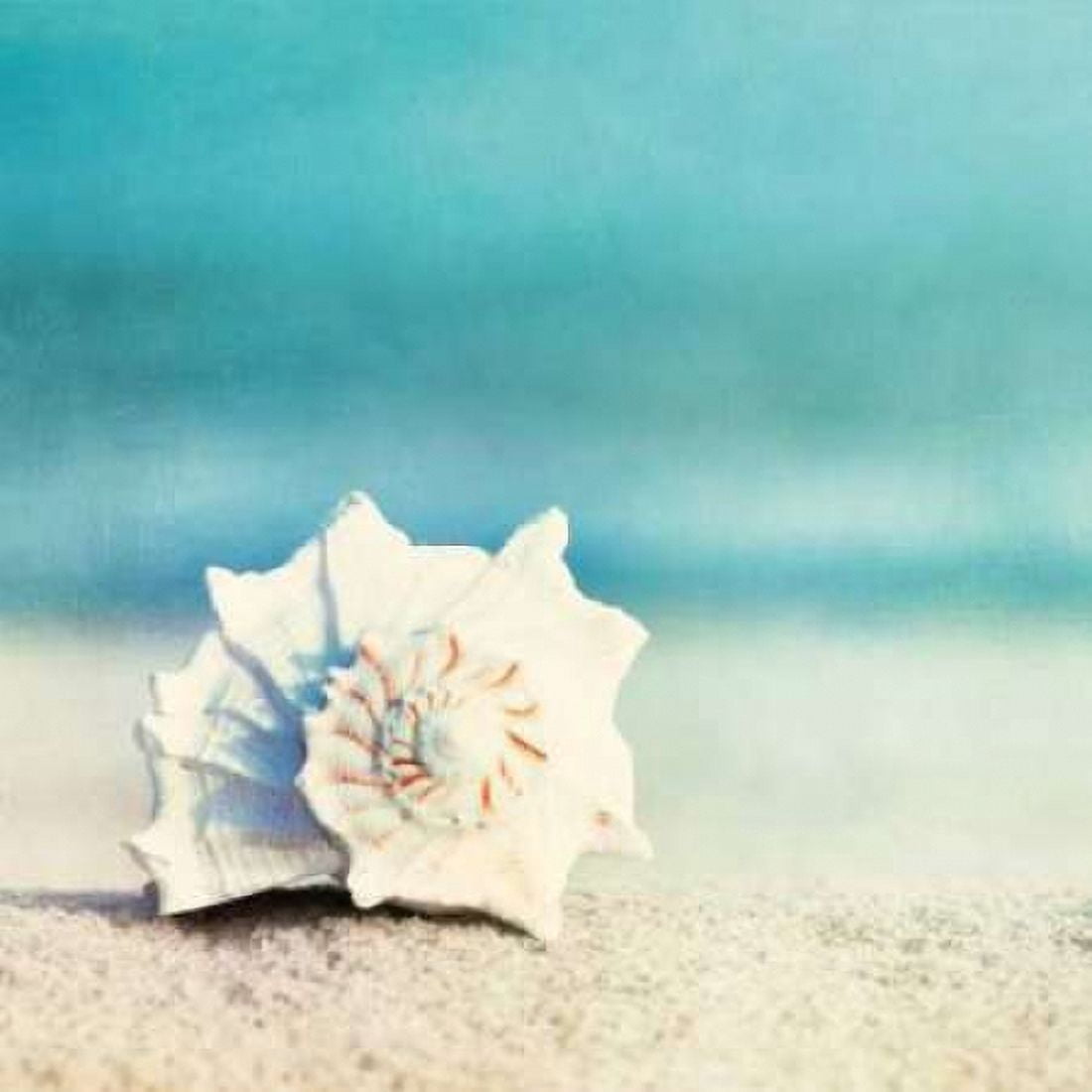 Paradise Canvas Art - Carolyn Cochrane (24 x 24)