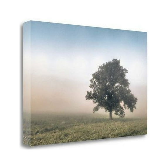 Tangletown Art, 39 x 26 "Paradise Haze " by Todd McPhetridge, Gallery Wrap Canva