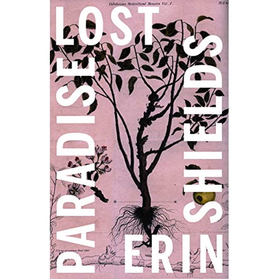Pre-Owned Paradise Lost (Paperback) 1770919333 9781770919334