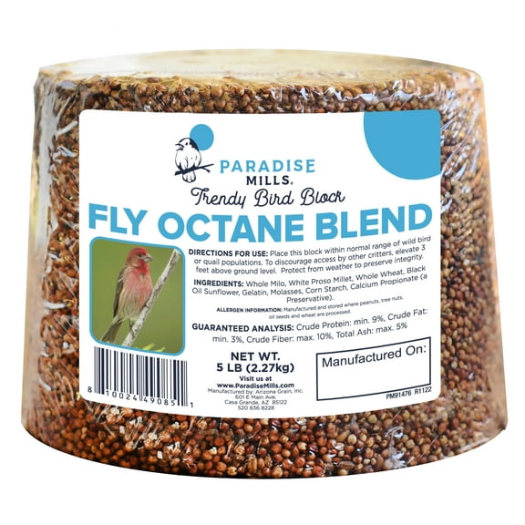 Paradise Mills Bird Food Block, 5 lb, For All Wild Birds
