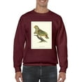 thumbnail image 1 of Paradise Parrot Sweatshirt Men -Sydenham Edwards Designs, Male 4X-Large, 1 of 4