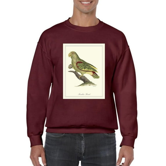 Paradise Parrot Sweatshirt Men -Sydenham Edwards Designs, Male 4X-Large