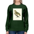 thumbnail image 1 of Paradise Parrot Sweatshirt Women -Sydenham Edwards Designs, Female Medium, 1 of 4