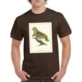 thumbnail image 1 of Paradise Parrot T-Shirt Men -Sydenham Edwards Designs, Male 4X-Large, 1 of 4