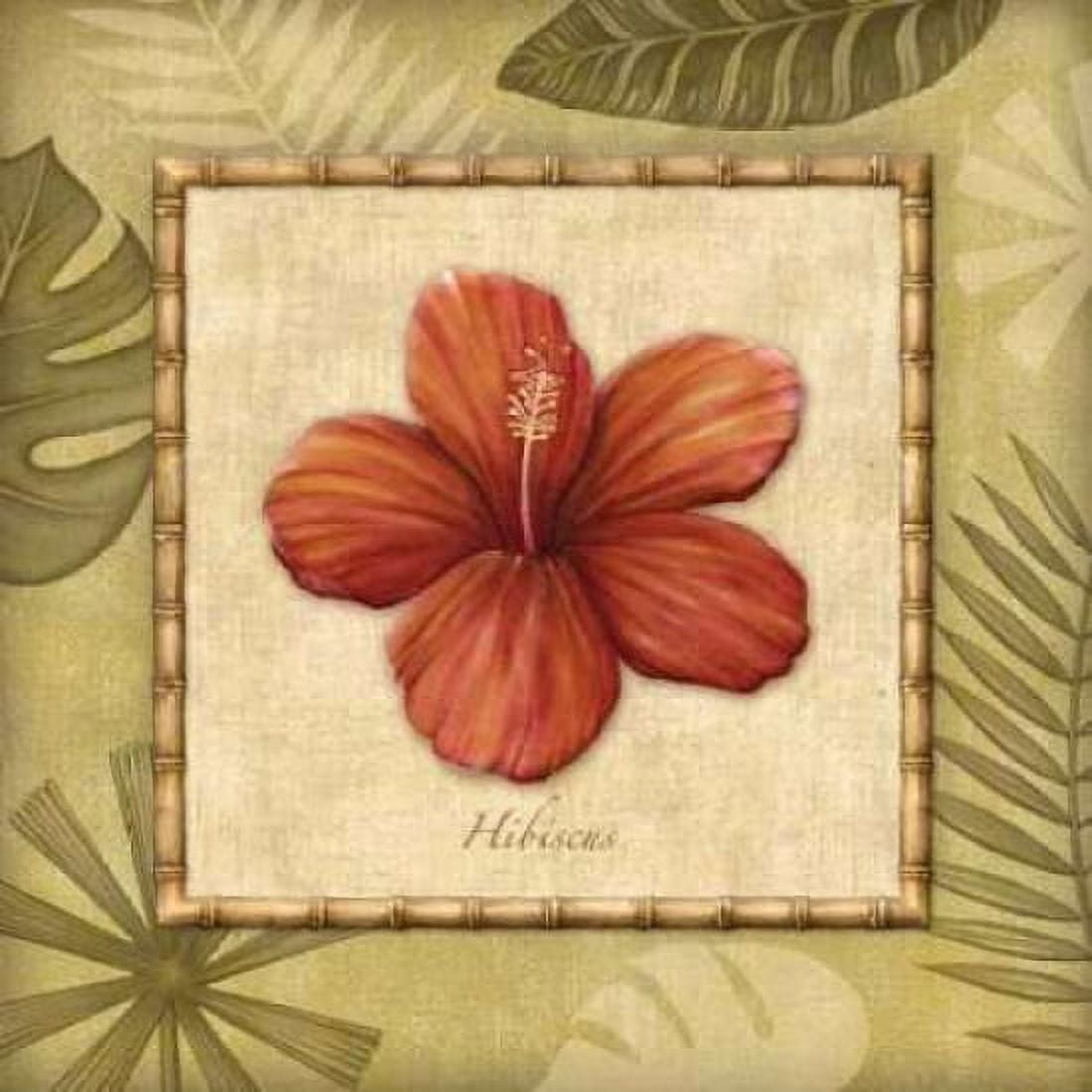Paradisio II Canvas Art - Charlene Audrey (24 x 24)