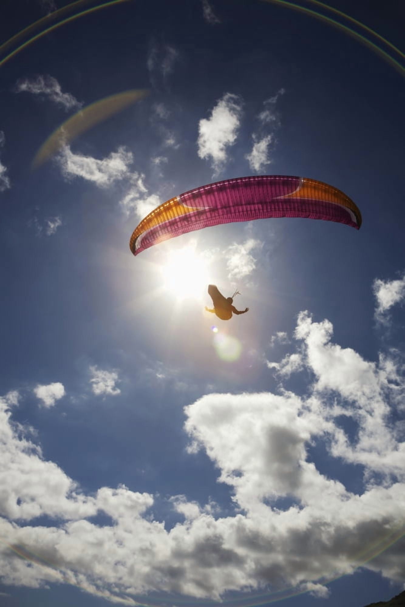 Paraglider at Makapuu Point Oahu Hawaii United States of America Canvas Art - Kelly Fitzgerald  Design Pics (12 x 19)