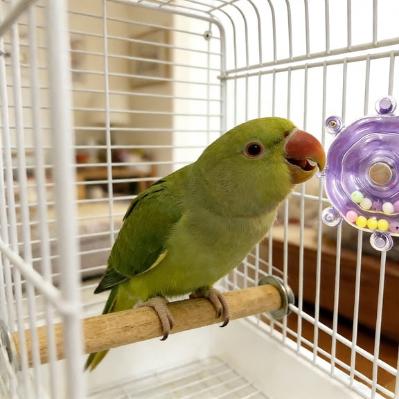 Parakeet Toys, Small Parrot Rotating Interactive Training Toy, Parakeet Cage Accessories, Budgie Toys, Cockatiel Toys, Lorikeets Toy, Love Bird Toys,Conure Toys,Bird Toys for Parrots (Purple)