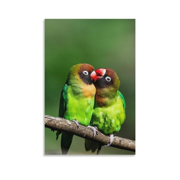 Parakeets Cute Bird Animal Wall Art Poster Scroll Canvas Painting Picture Living Room Decor Home 20x30inch(50x75cm)