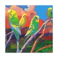 thumbnail image 1 of "Parakeets in Flight" - Canvas, 1 of 25