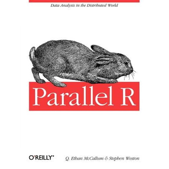 Pre-Owned Parallel R: Data Analysis in the Distributed World (Paperback)